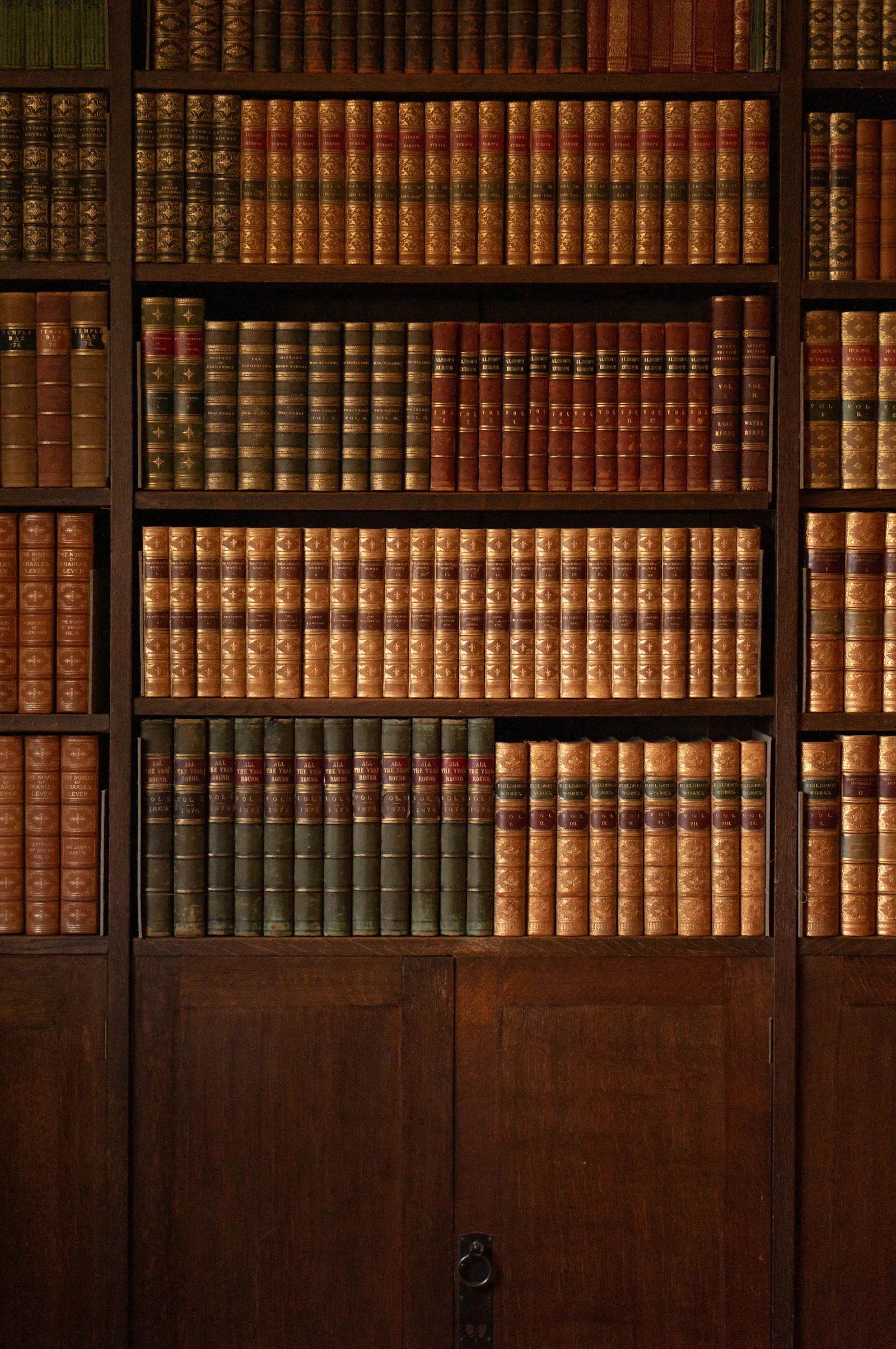 Estanterías de madera con códigos y libros jurídicos
